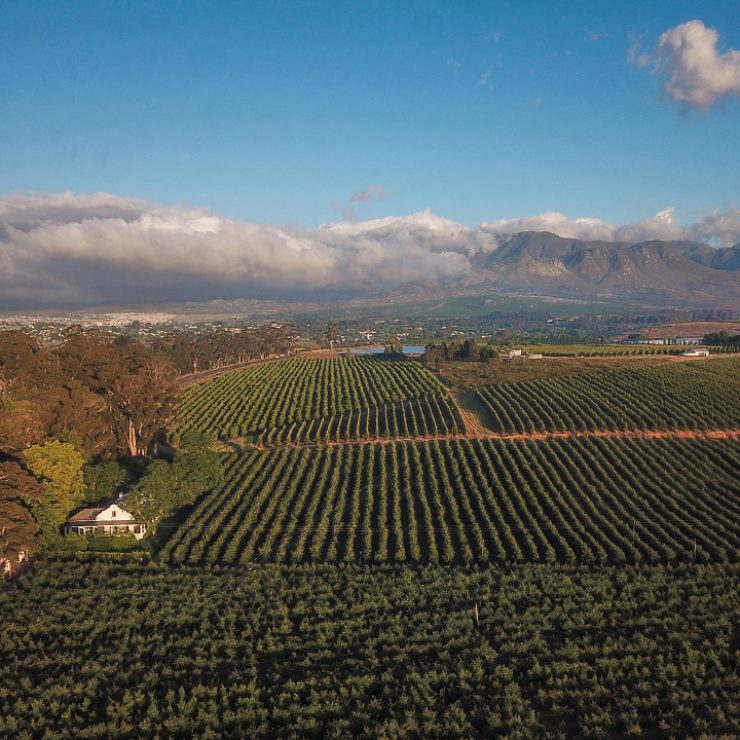 Discover Elgin Valley